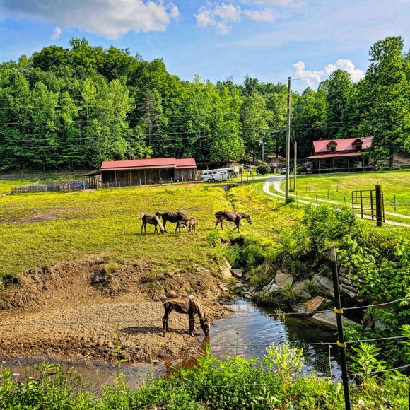 Meet your Posher, Kimberley - Picture 4 of 5